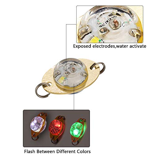 Dr.Fish 5 Pack Fishing Deep Drop Lights LED Fishing Lure Fishing Light Attractant Spoon Flasher Underwater Trolling Salmon Halibut Bass - Image 4