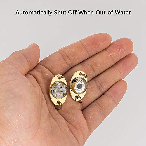 Dr.Fish 5 Pack Fishing Deep Drop Lights LED Fishing Lure Fishing Light Attractant Spoon Flasher Underwater Trolling Salmon Halibut Bass - Image 5