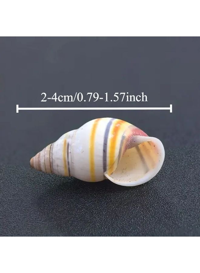 1pc Whimsical Amphibious Snail Shell Conch Aquarium Fish Tank Decoration - Image 3