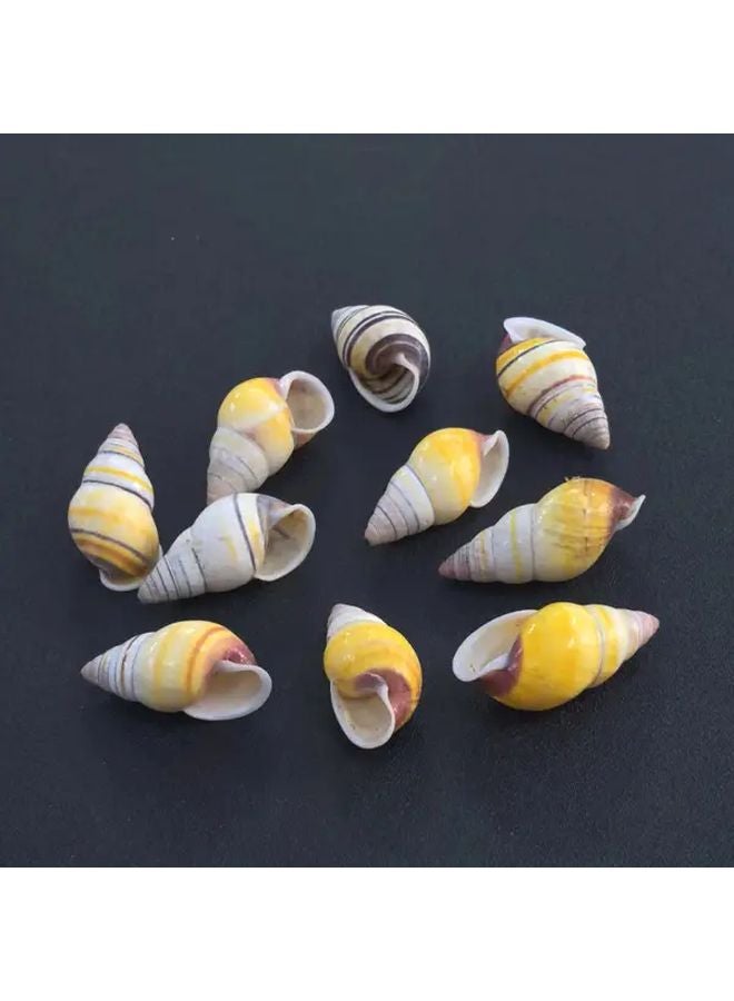1pc Whimsical Amphibious Snail Shell Conch Aquarium Fish Tank Decoration - Image 5
