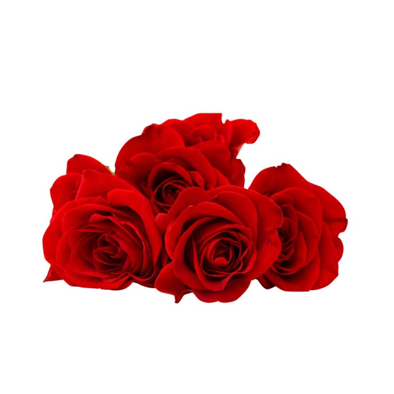 YaYa Cafe TheYaYaCafe Birthday Gifts Chocolate Gifts Combo for Girlfriend Boyfriend Heart Shape Cushion with Filler Bunch of 5 Red Roses 1 Dairy Milk Silk 60g Set of 3 Hamper Love Birds - Image 5