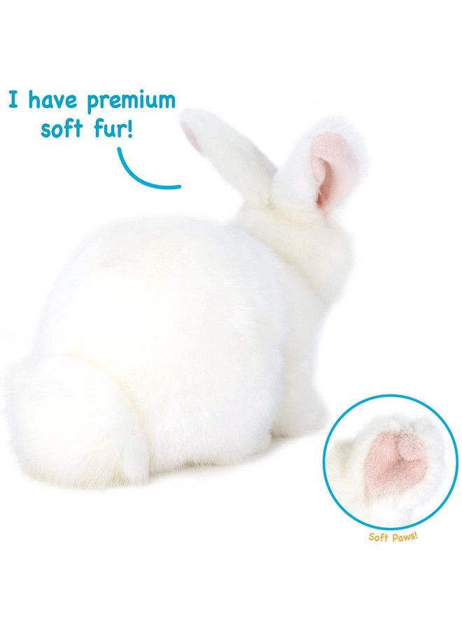 VIAHART Wren The White Rabbit ; 10 Inch Stuffed Animal Plush ; By Tiger Tale Toys - Image 5
