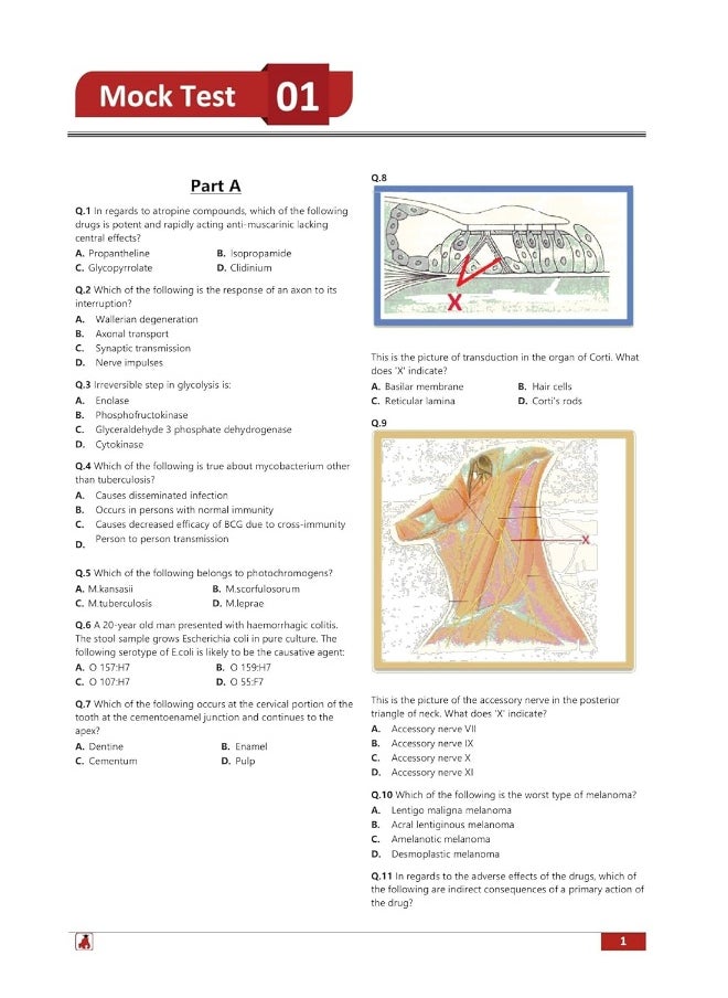 EduGorilla Community Pvt.Ltd NEET MDS Entrance Exam Preparation Book 2023 (Master of Dental Surgery) - 8 Full Length Mock Tests and 2 Sectional Tests (Part A and B) with Free Access To Online Tests  - Image 4