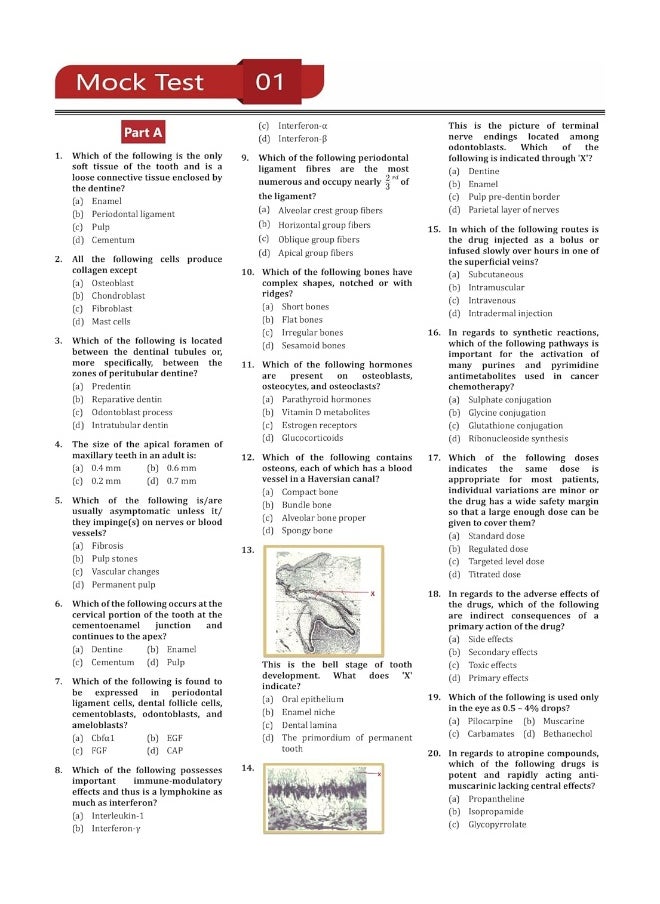 EduGorilla Community Pvt.Ltd NEET MDS Entrance Exam Preparation Book 2023 (Master of Dental Surgery) - 8 Full Length Mock Tests and 2 Sectional Tests (Part A and B) with Free Access To Online Tests  - Image 5