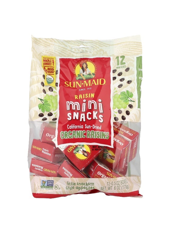 SUNMAID Sun-Maid, Raisin Mini-Snacks, 12 Boxes, 0.5 oz Each  - Image 1