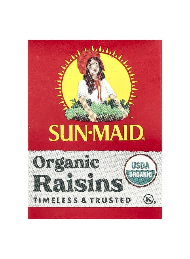 SUNMAID Sun-Maid, Raisin Mini-Snacks, 12 Boxes, 0.5 oz Each  - Image 3