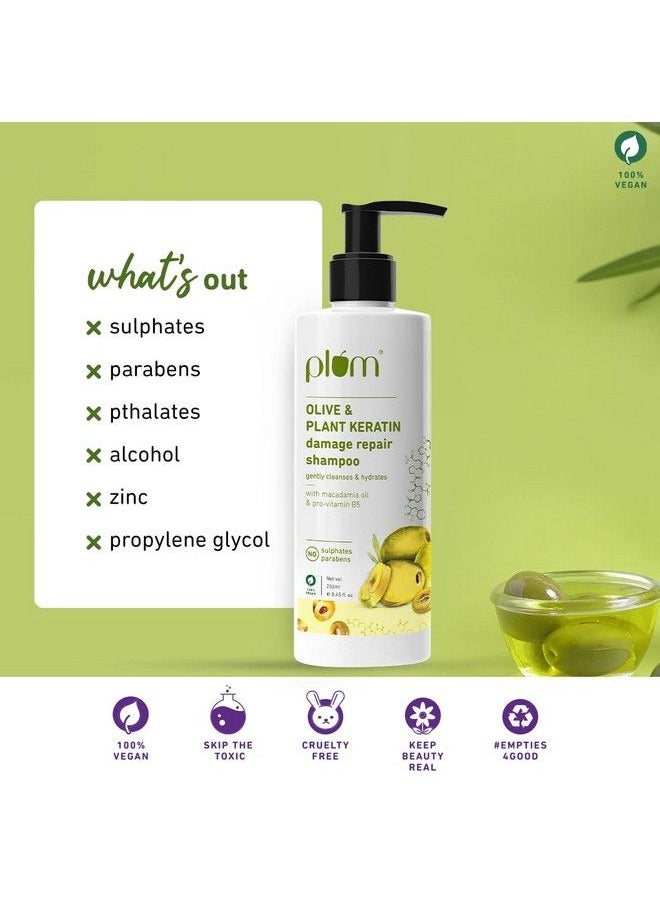 Plum شامبو إصلاح الشعر التالف بالكيراتين من Olive & Plant؛ بزيت الزيتون والكيراتين النباتي وزيت المكاديميا؛ يقوي وينعم الشعر ويضيف لمعانًا للشعر  - Image 5