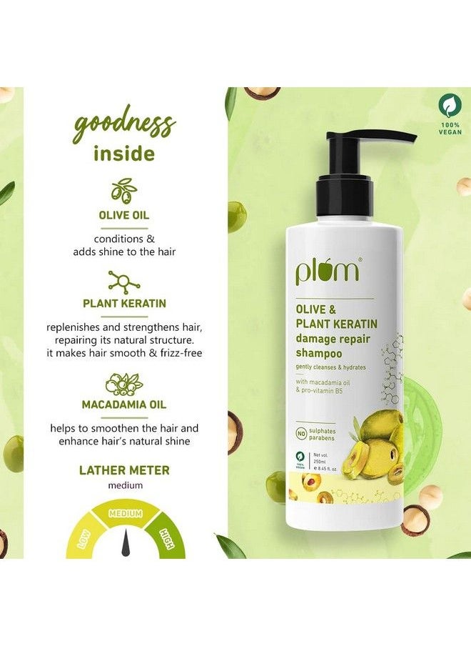 Plum شامبو إصلاح الشعر التالف بالكيراتين من Olive & Plant؛ بزيت الزيتون والكيراتين النباتي وزيت المكاديميا؛ يقوي وينعم الشعر ويضيف لمعانًا للشعر  - Image 4