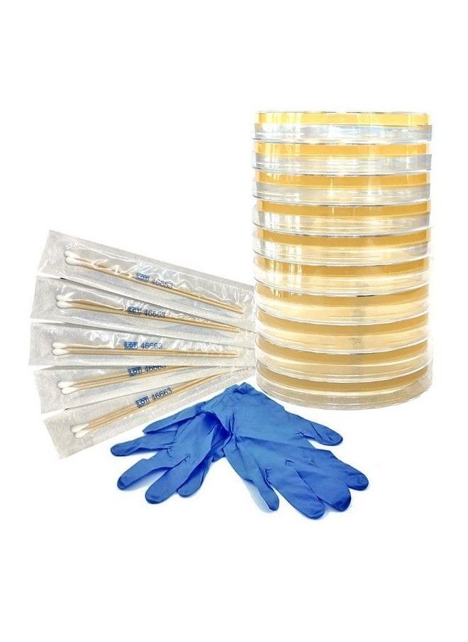 Generic - Essential 2.0 Bacteria Growing Science Kit. Prepoured Agar Plates (100Mm) With Gloves & Swabs. Perfect For Kids. Great For Learning About Microbiology. Free Project Guide Ebook Available. - Image 1