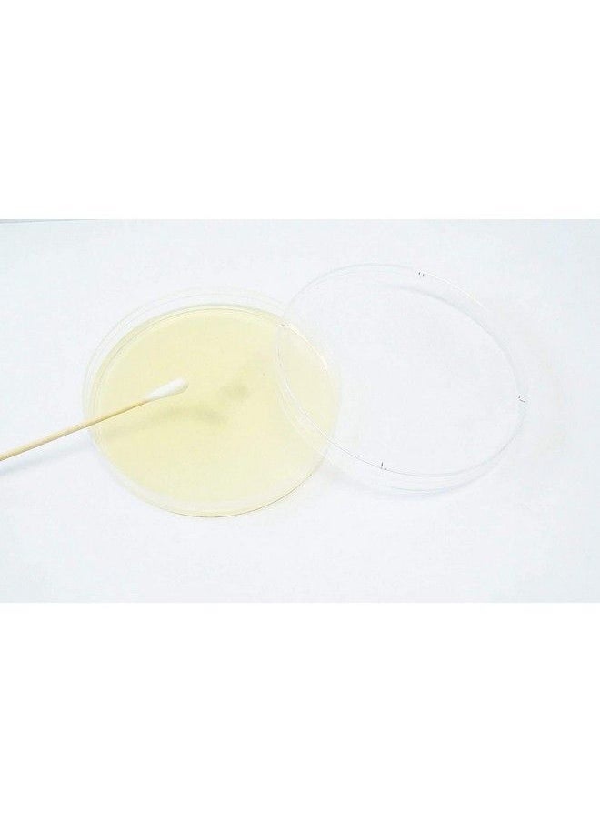 Generic - Essential 2.0 Bacteria Growing Science Kit. Prepoured Agar Plates (100Mm) With Gloves & Swabs. Perfect For Kids. Great For Learning About Microbiology. Free Project Guide Ebook Available. - Image 1