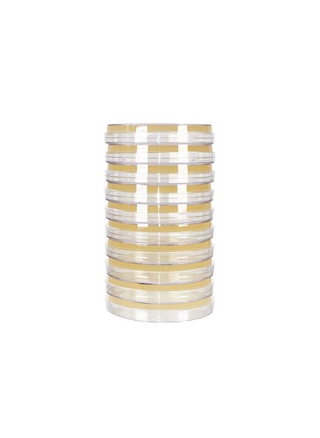 Generic - Essential 2.0 Bacteria Growing Science Kit. Prepoured Agar Plates (100Mm) With Gloves & Swabs. Perfect For Kids. Great For Learning About Microbiology. Free Project Guide Ebook Available. - Image 1