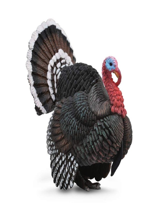 CollectA Turkey Animal Toy - Image 1