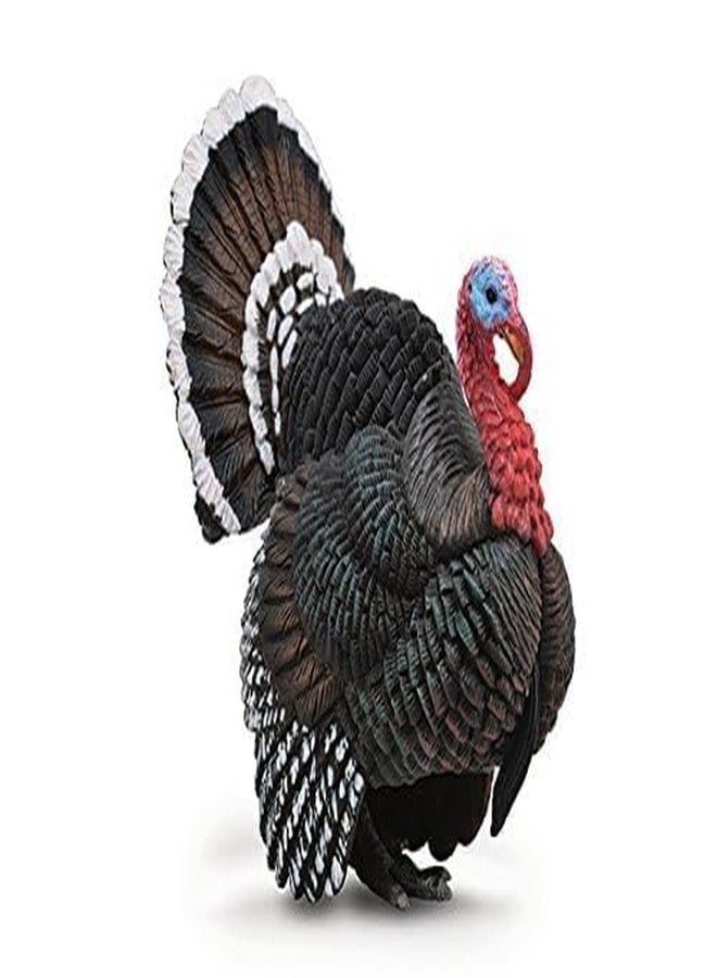 CollectA Turkey Animal Toy - Image 2