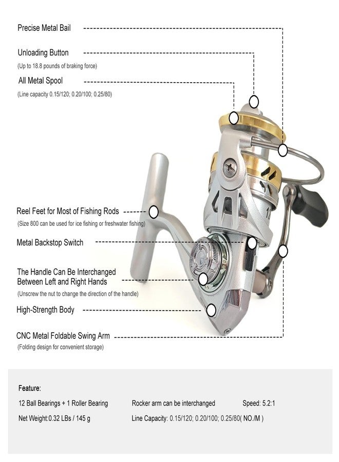 EMMRAGNO Compact Small Spinning Reels, Size 800 is Perfect for Ice Fishing and Freshwater Fishing, Up to 18.8 Max Drag, 5.2:1 Gear Ratio, Ultra Smooth Powerful, CNC Aluminum Spool, 12+1 BB Light Weight - Image 3