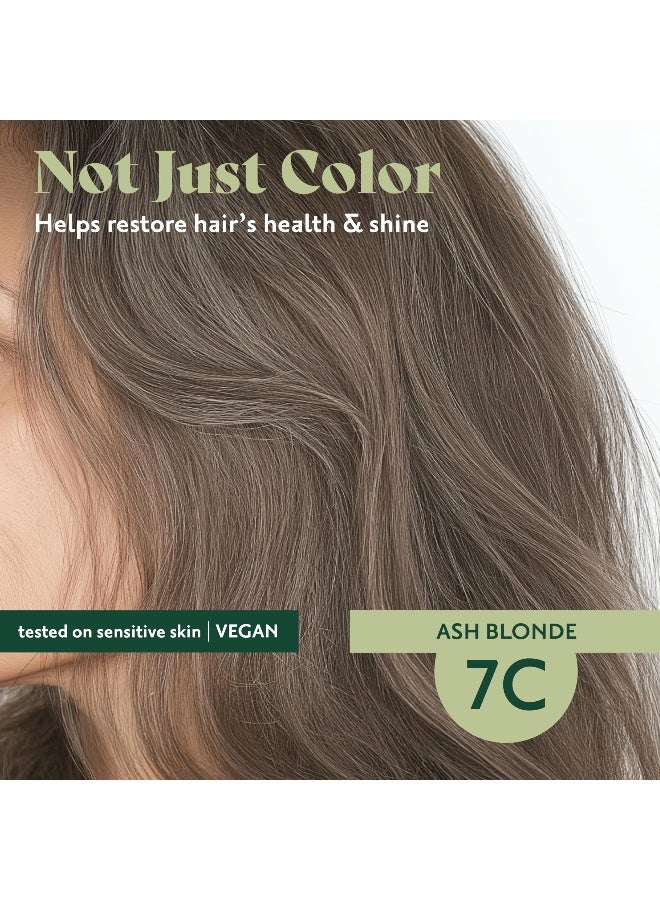 Herbatint Permanent Hair Dye For Women  7C Ash Blonde  For Up To 100 Gray Coverage of Resistant Gray Hair  AmmoniaFree AlcoholFree  Vegan  Salon Influenced Hair Color 575 fl oz - Image 4