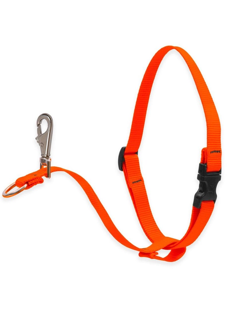 Lupine Dog Basic Solids No Pull Harness Belt Orange - Image 1