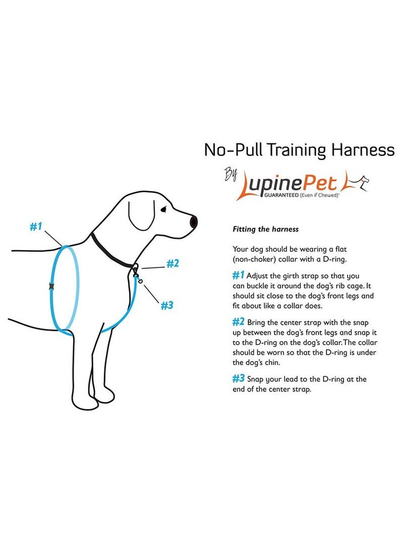Lupine Dog Basic Solids No Pull Harness Belt Orange - Image 2