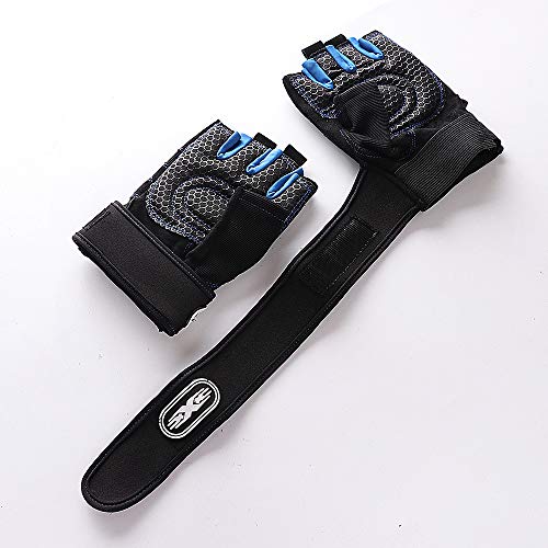 Alexvyan 1 Pair Blue Protective Half Finger Hand Riding, Cycling, Bike Motorcycle Gym Gloves for Men, Universal Size - Image 3