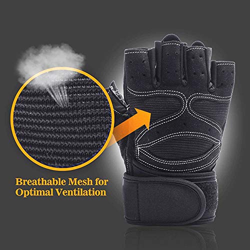 Alexvyan 1 Pair Blue Protective Half Finger Hand Riding, Cycling, Bike Motorcycle Gym Gloves for Men, Universal Size - Image 5