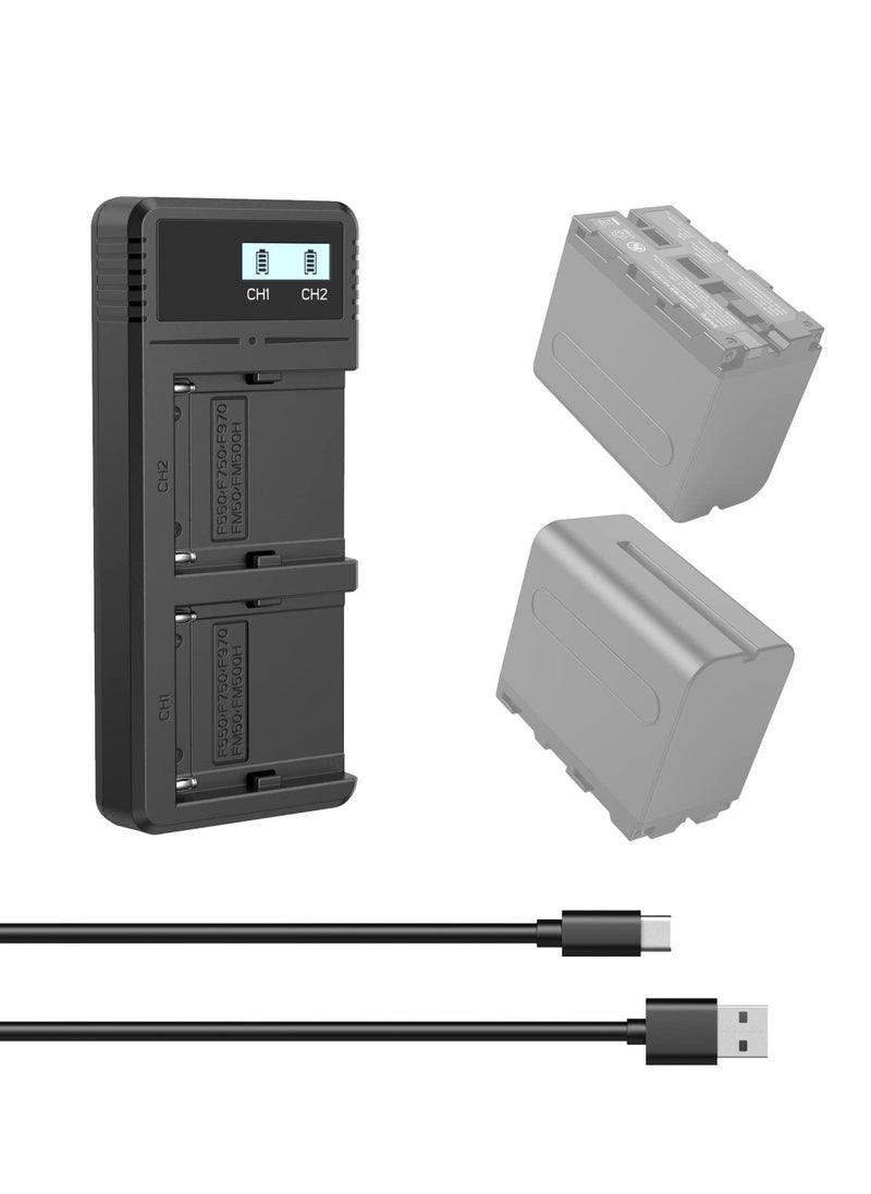 KASTWAVE - Sony NP-F9 Fast Charger Dual USB Charger with LCD Display for Sony NP-F970 NP-F930 NP-F950 NP-F960 NP-F550 NP-F530 NP-F330 NP-F570 Battery - 4086 - Image 1