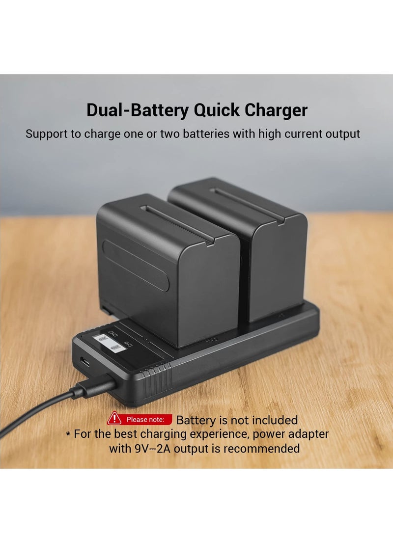 KASTWAVE - Sony NP-F9 Fast Charger Dual USB Charger with LCD Display for Sony NP-F970 NP-F930 NP-F950 NP-F960 NP-F550 NP-F530 NP-F330 NP-F570 Battery - 4086 - Image 1