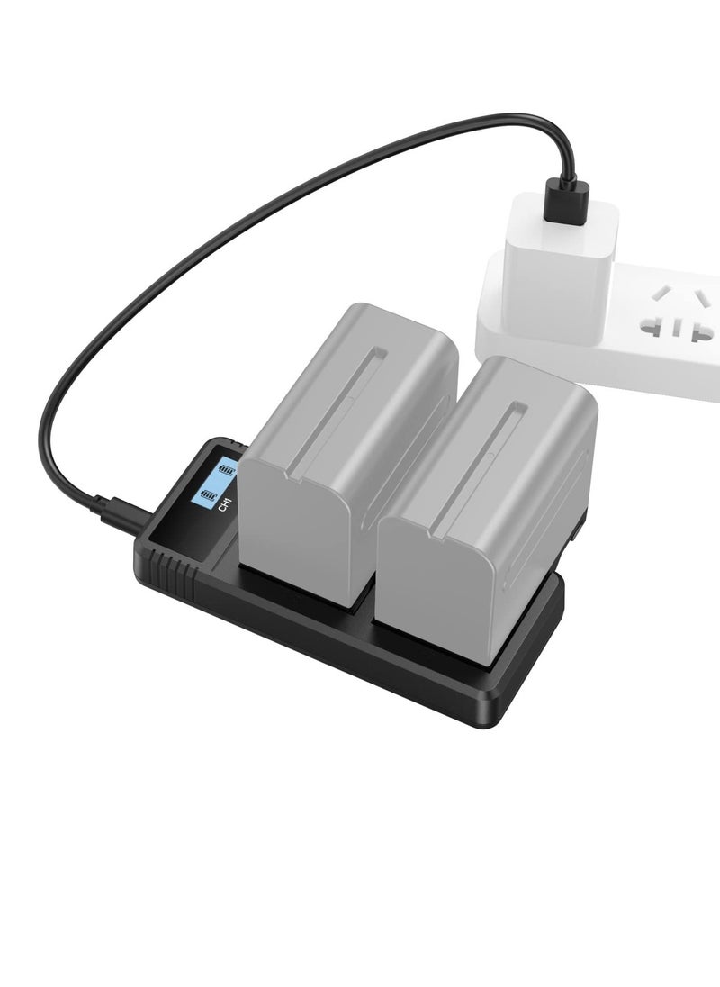 KASTWAVE - Sony NP-F9 Fast Charger Dual USB Charger with LCD Display for Sony NP-F970 NP-F930 NP-F950 NP-F960 NP-F550 NP-F530 NP-F330 NP-F570 Battery - 4086 - Image 1