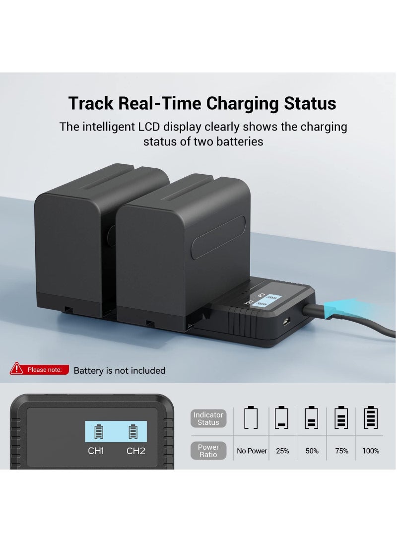 KASTWAVE - Sony NP-F9 Fast Charger Dual USB Charger with LCD Display for Sony NP-F970 NP-F930 NP-F950 NP-F960 NP-F550 NP-F530 NP-F330 NP-F570 Battery - 4086 - Image 1