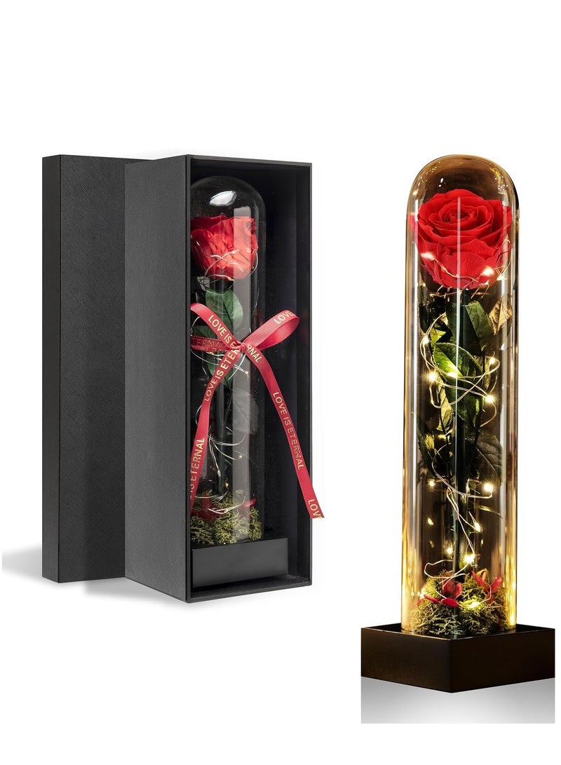 SYOSI هدايا عيد الميلاد للنساء، 12" وردة زجاجية LED محفوظة في قبة، زهور الجميلة والوحش تدوم لسنوات - حمراء - Image 1