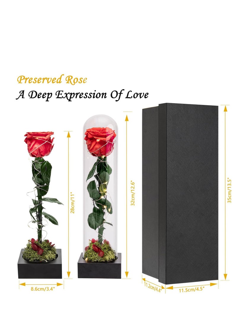 SYOSI هدايا عيد الميلاد للنساء، 12" وردة زجاجية LED محفوظة في قبة، زهور الجميلة والوحش تدوم لسنوات - حمراء - Image 5