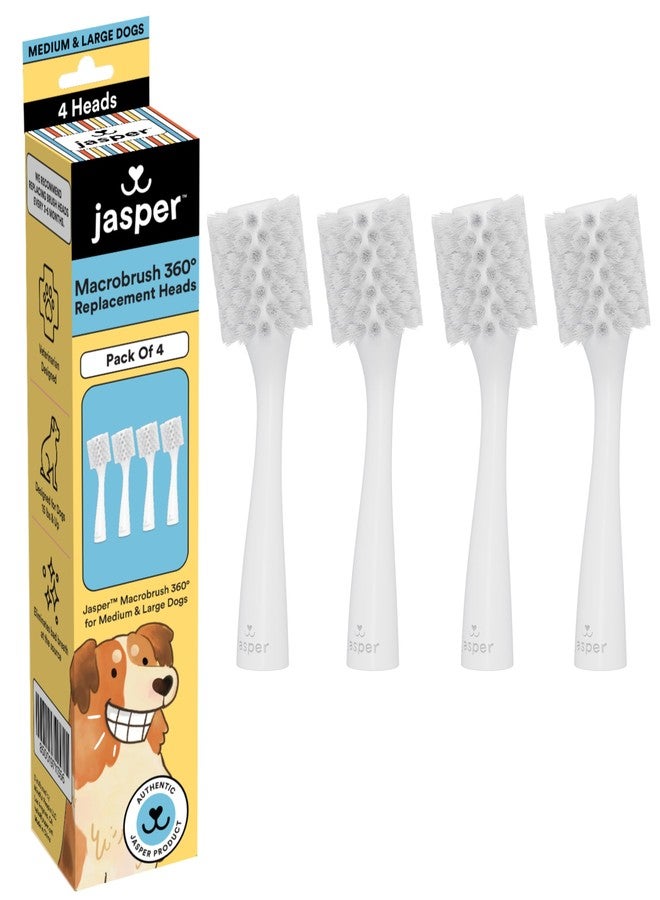 Jasper 4 Pack Replacement Brush Heads for Macrobrush 360° - Dog Toothbrush Kit for Dog Teeth Cleaning for Medium to Large Dogs, Pet Toothbrush to Keep Dog Teeth Clean & Dog Breath Fresh - Image 1