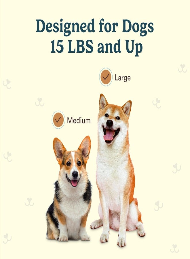 Jasper 4 Pack Replacement Brush Heads for Macrobrush 360° - Dog Toothbrush Kit for Dog Teeth Cleaning for Medium to Large Dogs, Pet Toothbrush to Keep Dog Teeth Clean & Dog Breath Fresh - Image 5