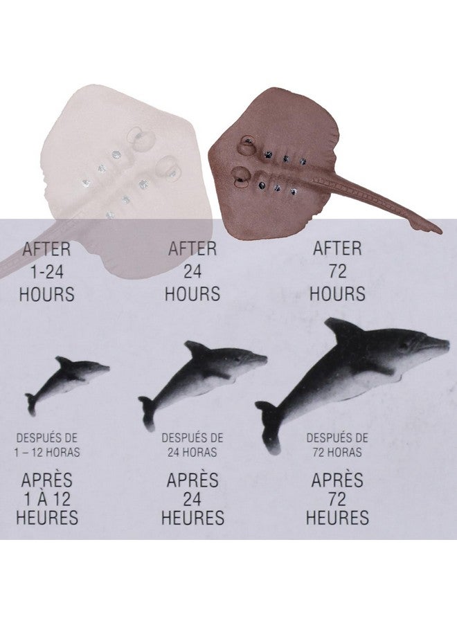 Fully Water Growing Creature Toys | Grow in Water Prank Toys for Kids and Adults Playing Fun Activity (Multicolor (M1)) - Image 3