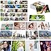 SpriteGru 50 Verb Flashcards Picture Word Cards Action Language Builder Visual Aid Language Learning Tool for Autism ESL Teaching Materials for Adults NonVerbal Children Vocabulary Builder for Kids - Image 2