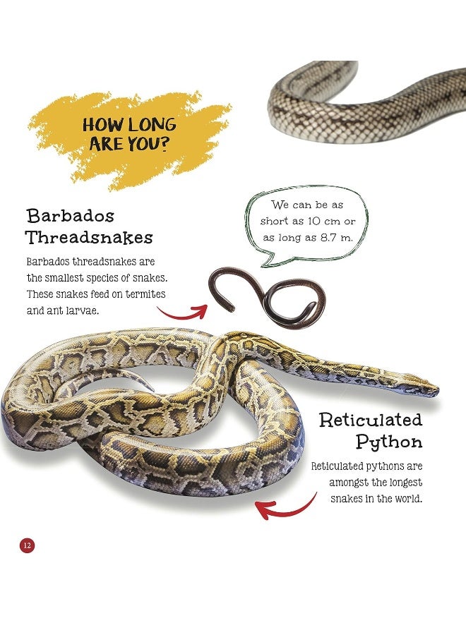 It's me a Snake  - Image 4