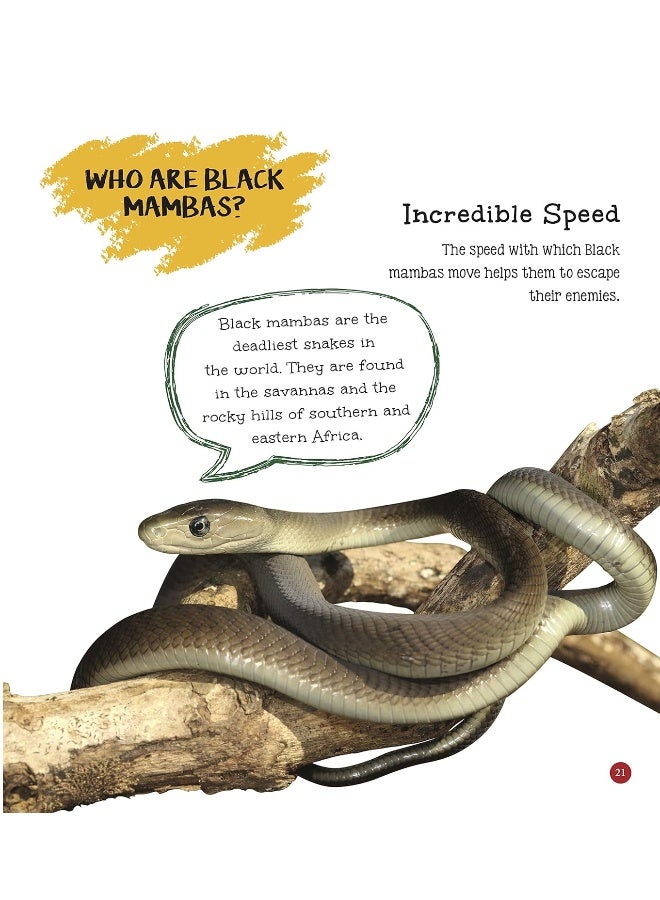 It's me a Snake  - Image 5