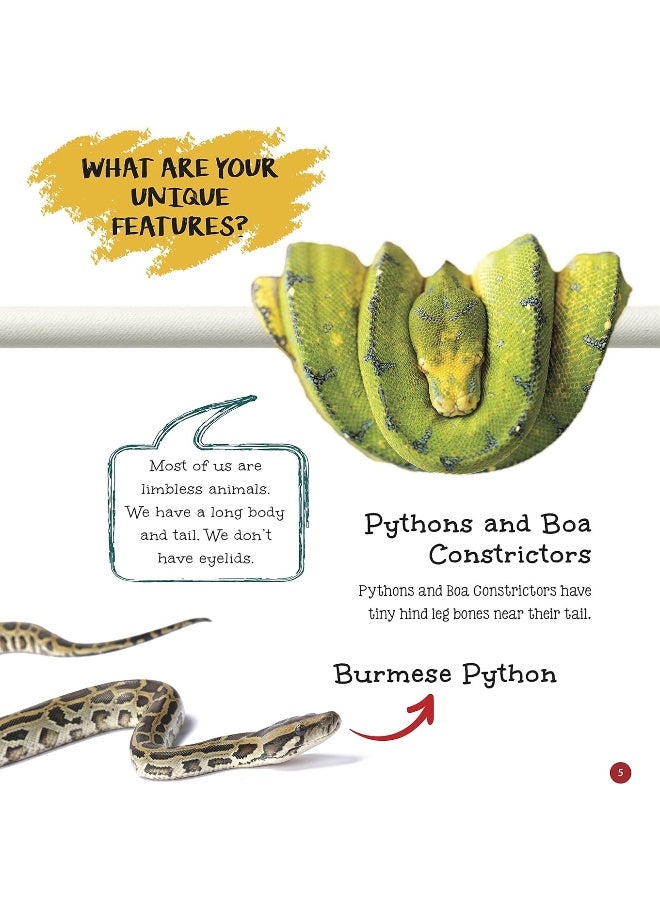It's me a Snake  - Image 3