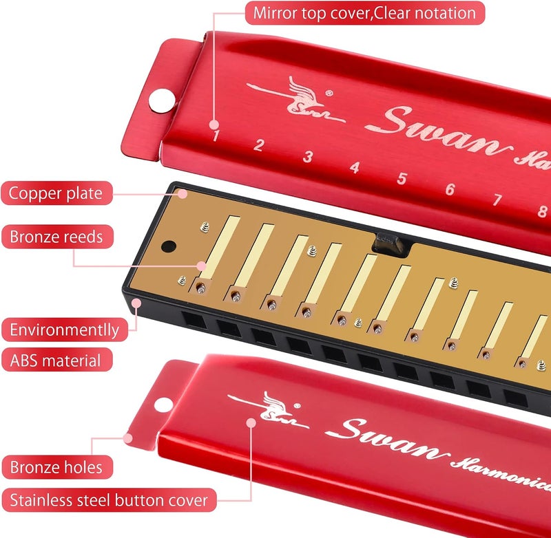 SWAN Blues Harmonica Key of C Mouth Organ Diatonic Harmonica with Case, 10 Hole 20 Tones Stainless Blues Harp for Adults, Beginners(Burgundy Red) - Image 5