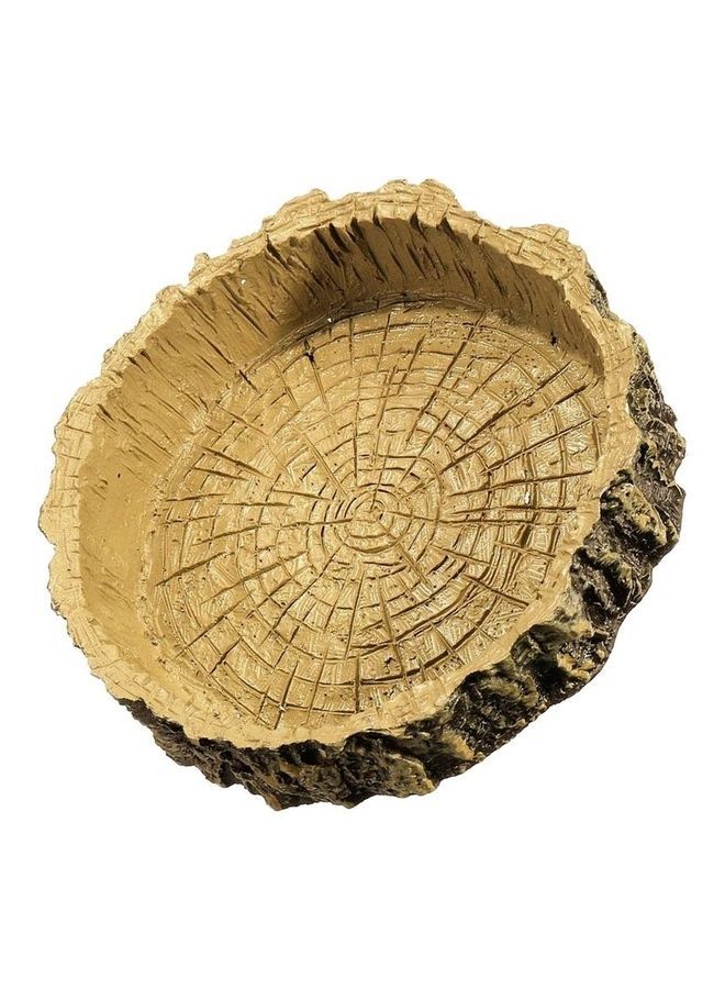 NIBEMINENT Reptile Feeding Bowl Brown 10.5cm - Image 4