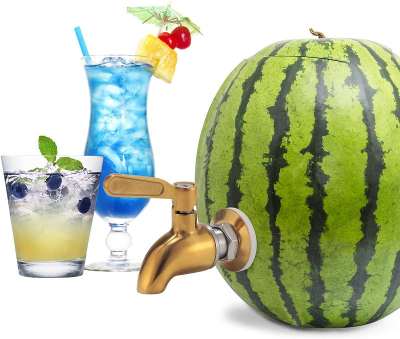 Lyty Stainless Steel Watermelon Keg Tap Kit - [Leakproof] [NO Clog] Pumpkin Fruit Keg Tapping with Coring Tool, [Adjust Shank] Watermelon Spigot for Cocktail Party-Ice Tea Drink Dispenser Spout - Image 1