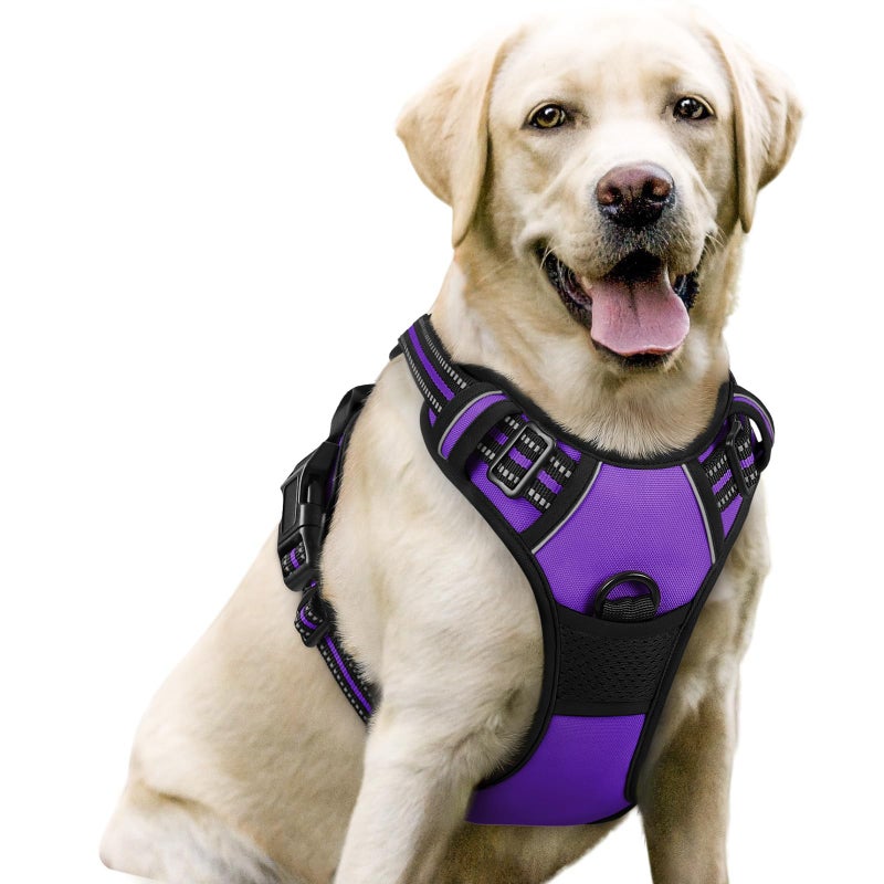 rabbitgoo Dog Harness, No-Pull Pet Harness with 2 Leash Clips, Adjustable Soft Padded Dog Vest, Reflective No-Choke Pet Oxford Vest with Easy Control Handle for Large Dogs, Purple, L - Image 1