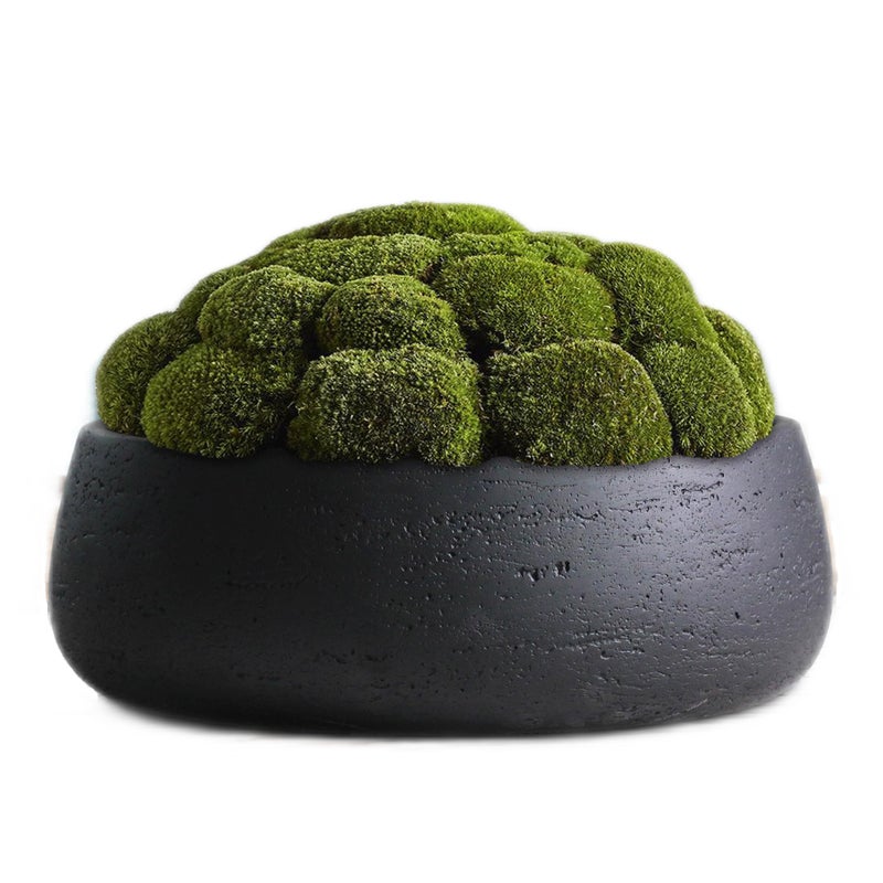 Olly & Rose Copenhagen Large Ceramic Planter Bowl Shallow Plant Pot - Matt Black Flower Pot Indoor and Outdoor Garden DÃ©corâ€¦ - Image 4