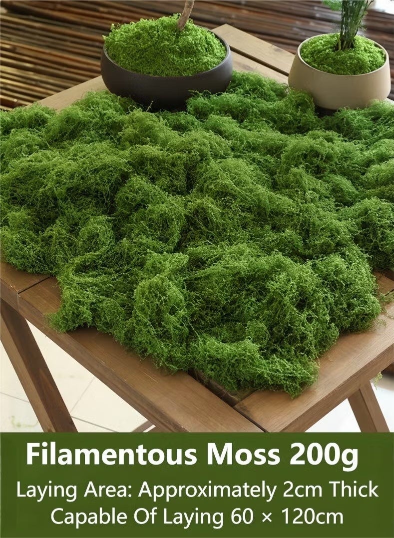 200g Moss Grass, Artificial Moss, Fake Green Grass, Faux Moss, Indoor Planter Decor, Centerpiece Decorations, DIY Garden Projects, Preserved Forest Moss, Home Kitchen Garden Craft - Image 1