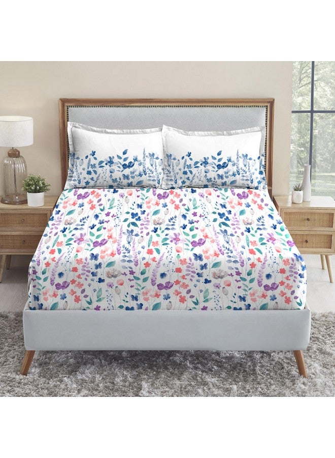 Trident Soft Comfort Bedsheet for Double Bed, 210 TC 100% Cotton Bedsheet, Soft and Breathable, King Size Bedsheet with 2 Pillow Covers - Sussana - Image 3