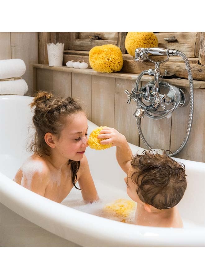Bellini Premium Natural Honeycomb Sea Sponge – 18 cm – Made from Natural Sea Sponge – Hypoallergenic Baby Bath Sponge – Biodegradable, Eco-Friendly & Gentle for Newborns and Delicate skin - Image 5