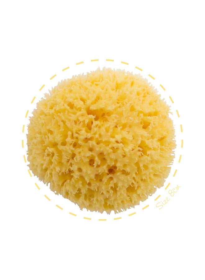 Bellini Premium Natural Honeycomb Sea Sponge – 18 cm – Made from Natural Sea Sponge – Hypoallergenic Baby Bath Sponge – Biodegradable, Eco-Friendly & Gentle for Newborns and Delicate skin - Image 1