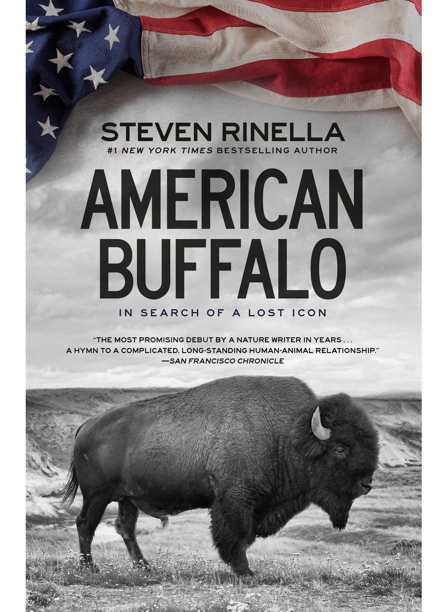 American Buffalo