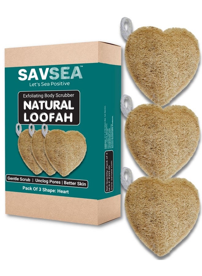 SavSea Natural Loofah Body Scrubber - Heart Shape Bath Sponge (Pack of 3) | Eco-Friendly Body Loofah for Exfoliating & Deep Cleansing | Organic Shower Sponge for Men & Women - Image 2
