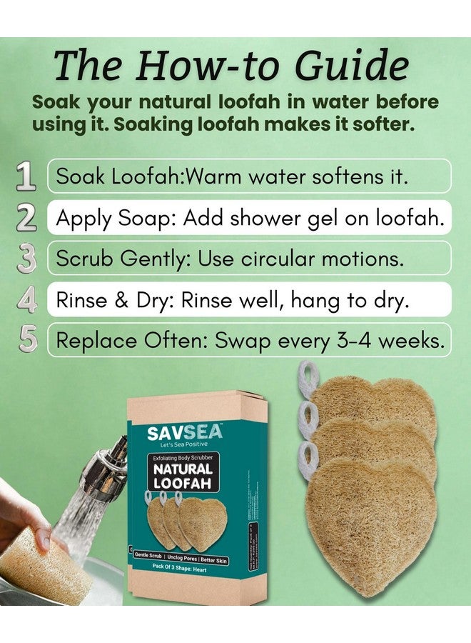 SavSea Natural Loofah Body Scrubber - Heart Shape Bath Sponge (Pack of 3) | Eco-Friendly Body Loofah for Exfoliating & Deep Cleansing | Organic Shower Sponge for Men & Women - Image 4