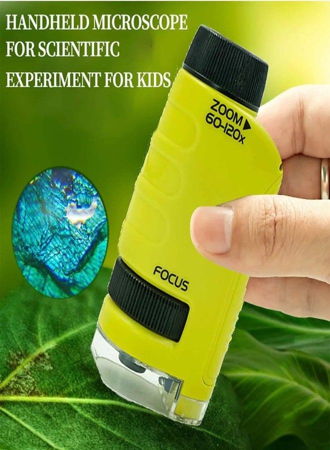 ETZIN Pocket Microscope for Kids with 60x-120x Magnification Mini Labsters Handheld Microscope for Scientific Experiment for Kids 6-12 (Green) - Image 2