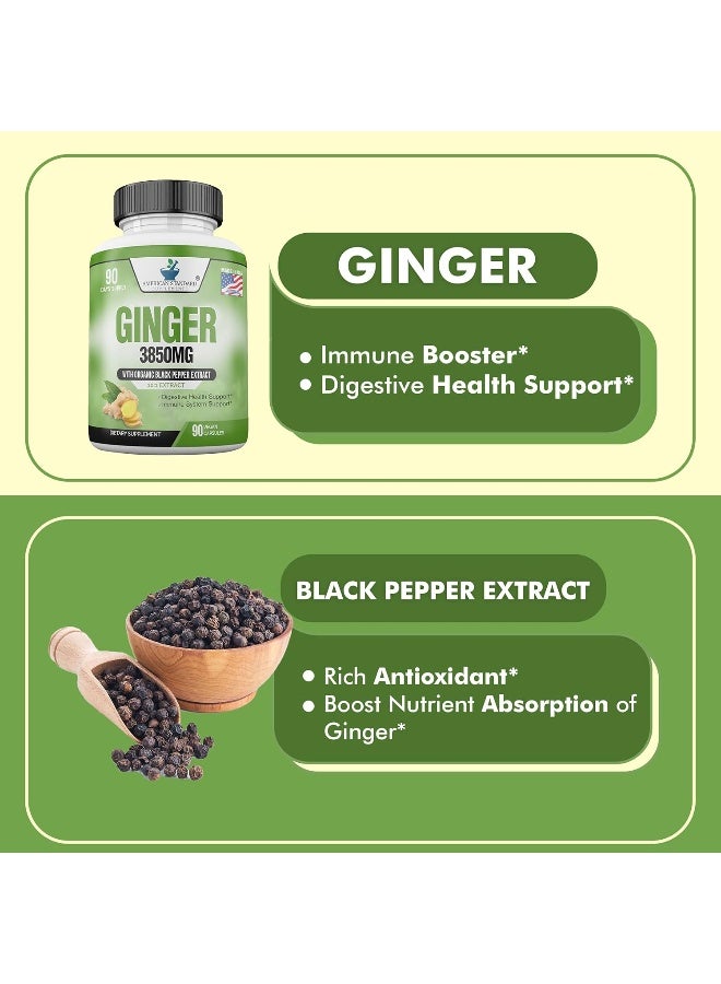 American Standard Supplements Ginger Root Capsules Organic 3850mg, Ginger Powder, Ginger Supplements, Ginger Capsules, Ginger Pills, Ginger Extract, Organic Ginger Root, Immune Support, Alternative to Ginger Chews, 90 Veg Capsule - Image 4
